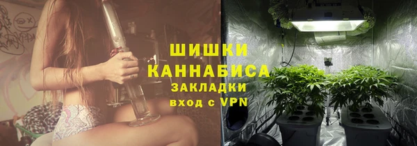 индика Балахна