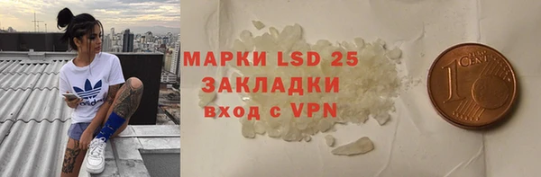 индика Балахна