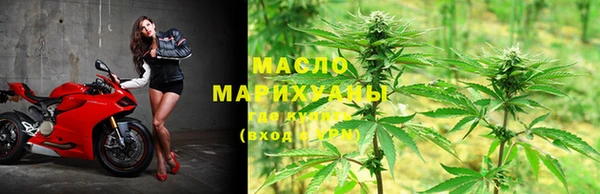 индика Сафоново