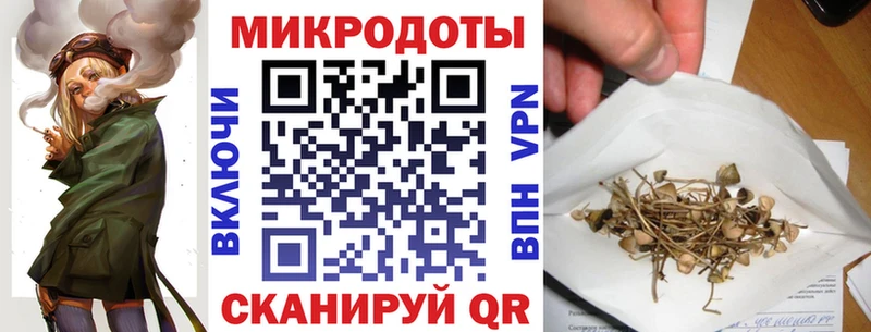 Псилоцибиновые грибы Psilocybine cubensis  Невель 