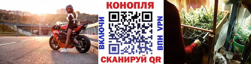 закладки  Невель  Канабис индика 